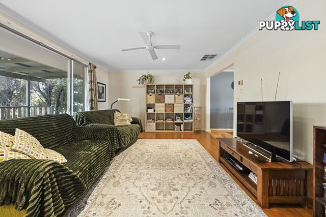 19 Darwinia Terrace RIVETT ACT 2611