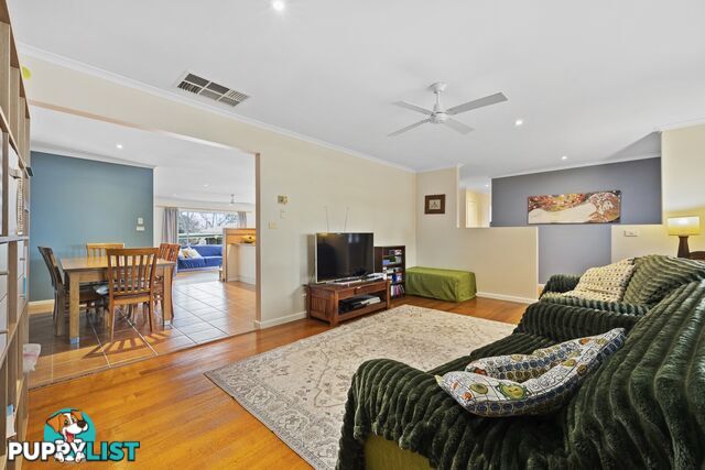 19 Darwinia Terrace RIVETT ACT 2611