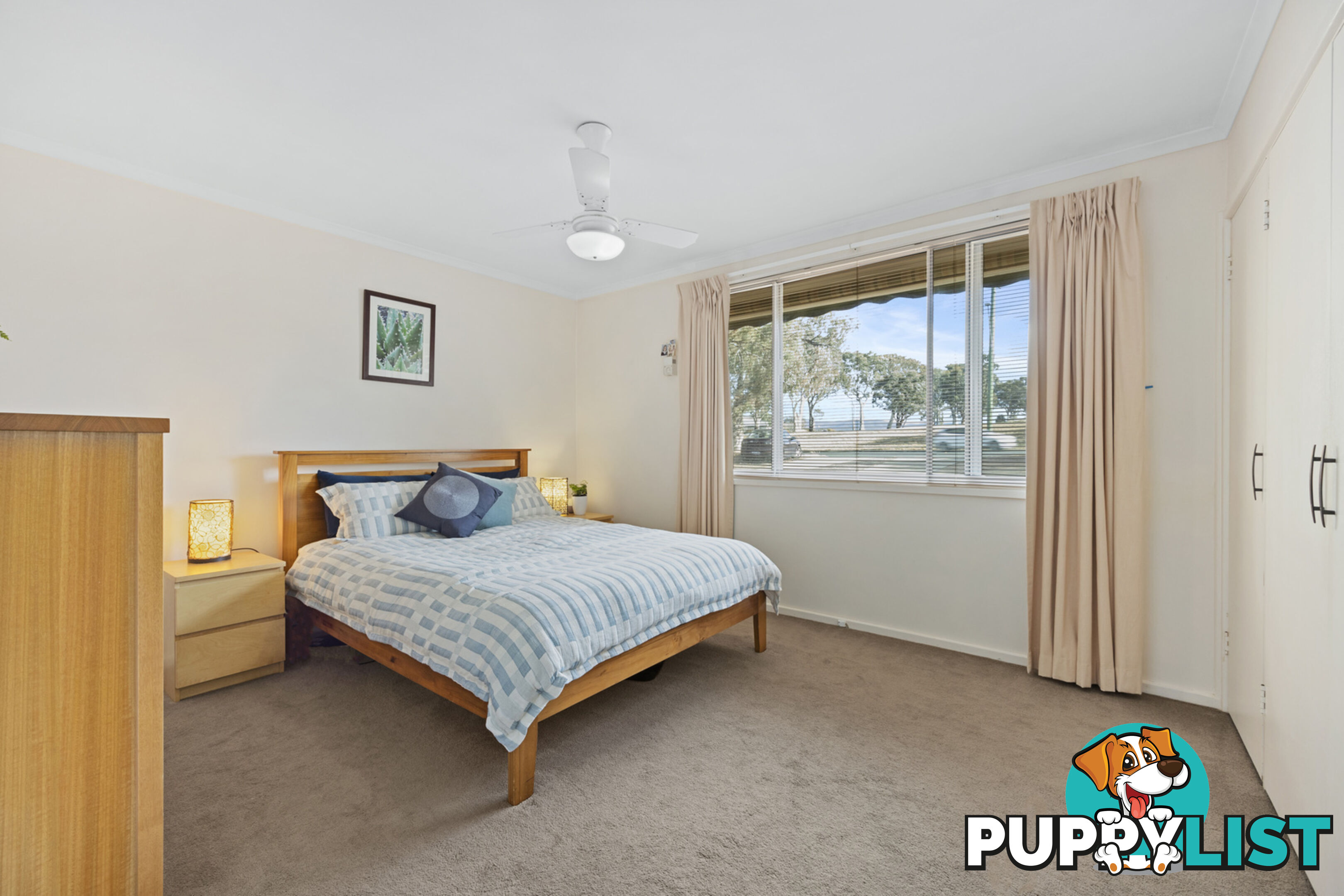 19 Darwinia Terrace RIVETT ACT 2611