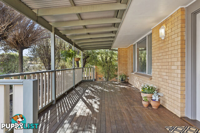 19 Darwinia Terrace RIVETT ACT 2611