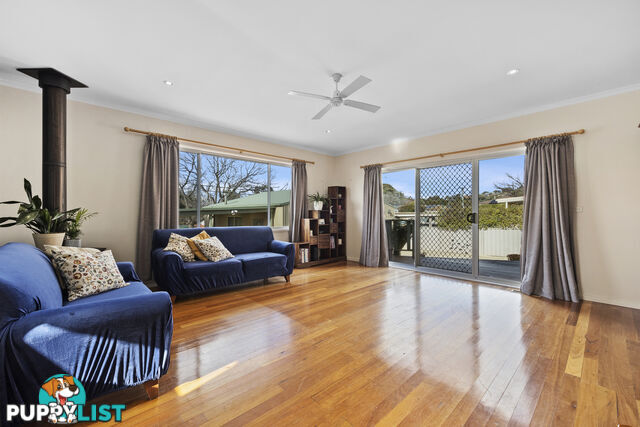 19 Darwinia Terrace RIVETT ACT 2611