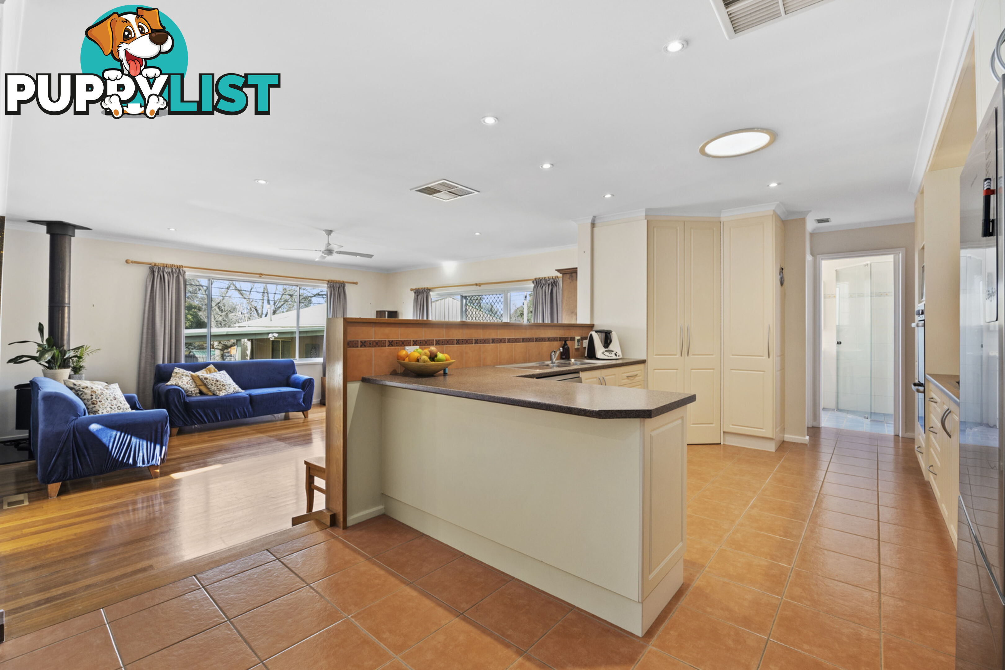 19 Darwinia Terrace RIVETT ACT 2611