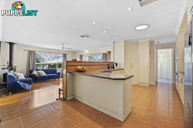 19 Darwinia Terrace RIVETT ACT 2611