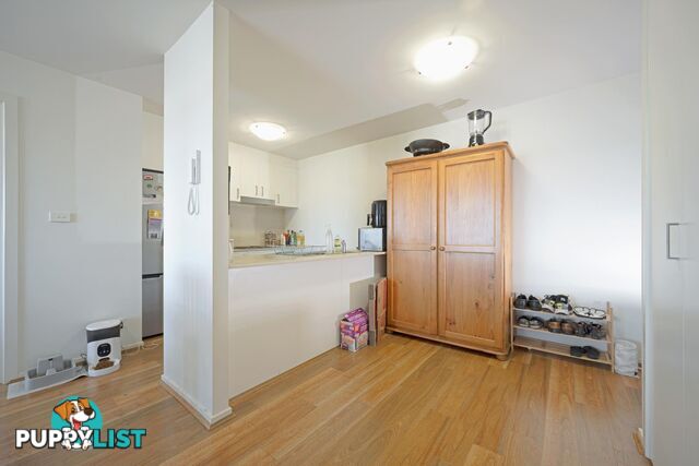 161/41 Philip Hodgins Street WRIGHT ACT 2611