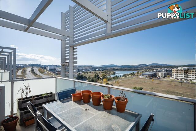 161/41 Philip Hodgins Street WRIGHT ACT 2611