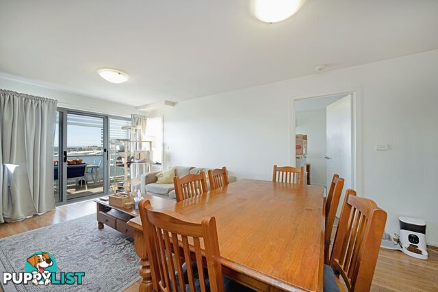 161/41 Philip Hodgins Street WRIGHT ACT 2611