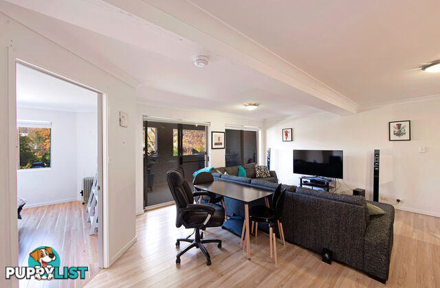 13/43 Ijong Street BRADDON ACT 2612