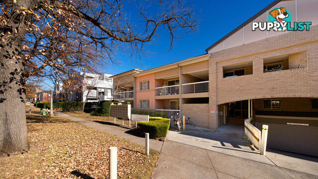 13/43 Ijong Street BRADDON ACT 2612