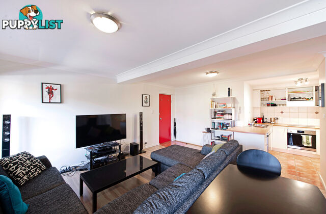 13/43 Ijong Street BRADDON ACT 2612