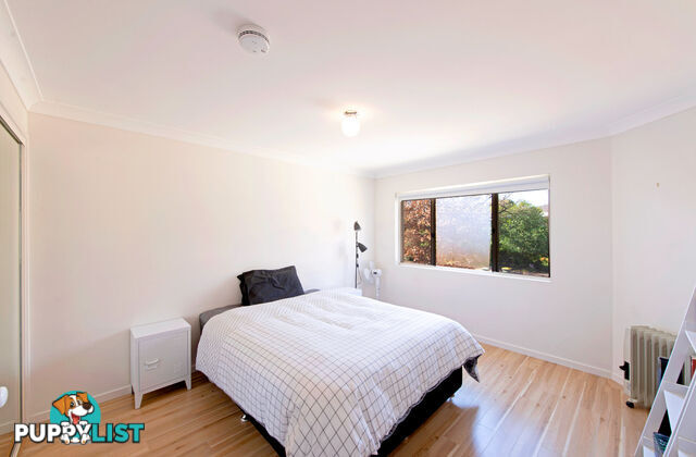 13/43 Ijong Street BRADDON ACT 2612