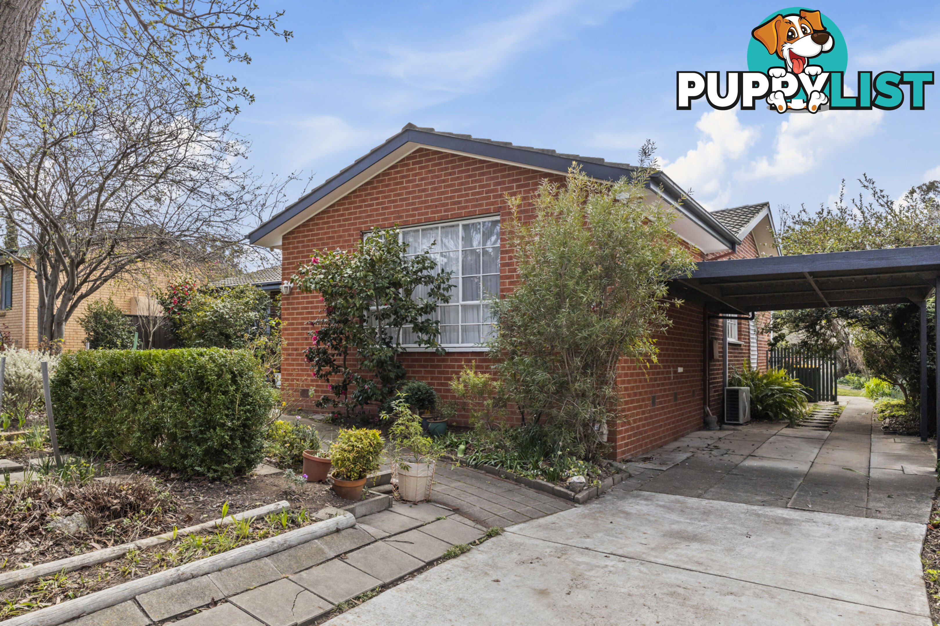 37 Jemalong Street DUFFY ACT 2611