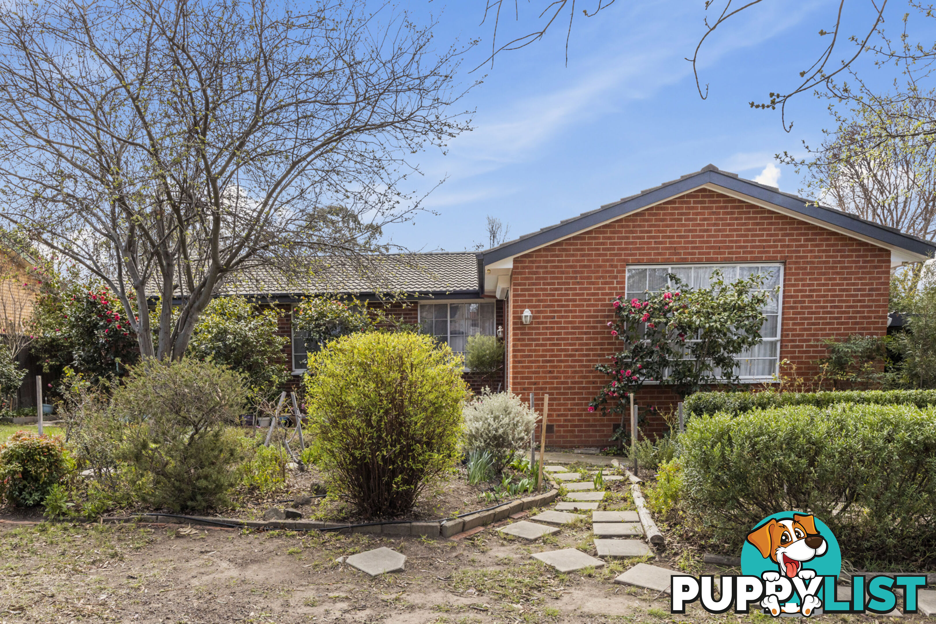 37 Jemalong Street DUFFY ACT 2611