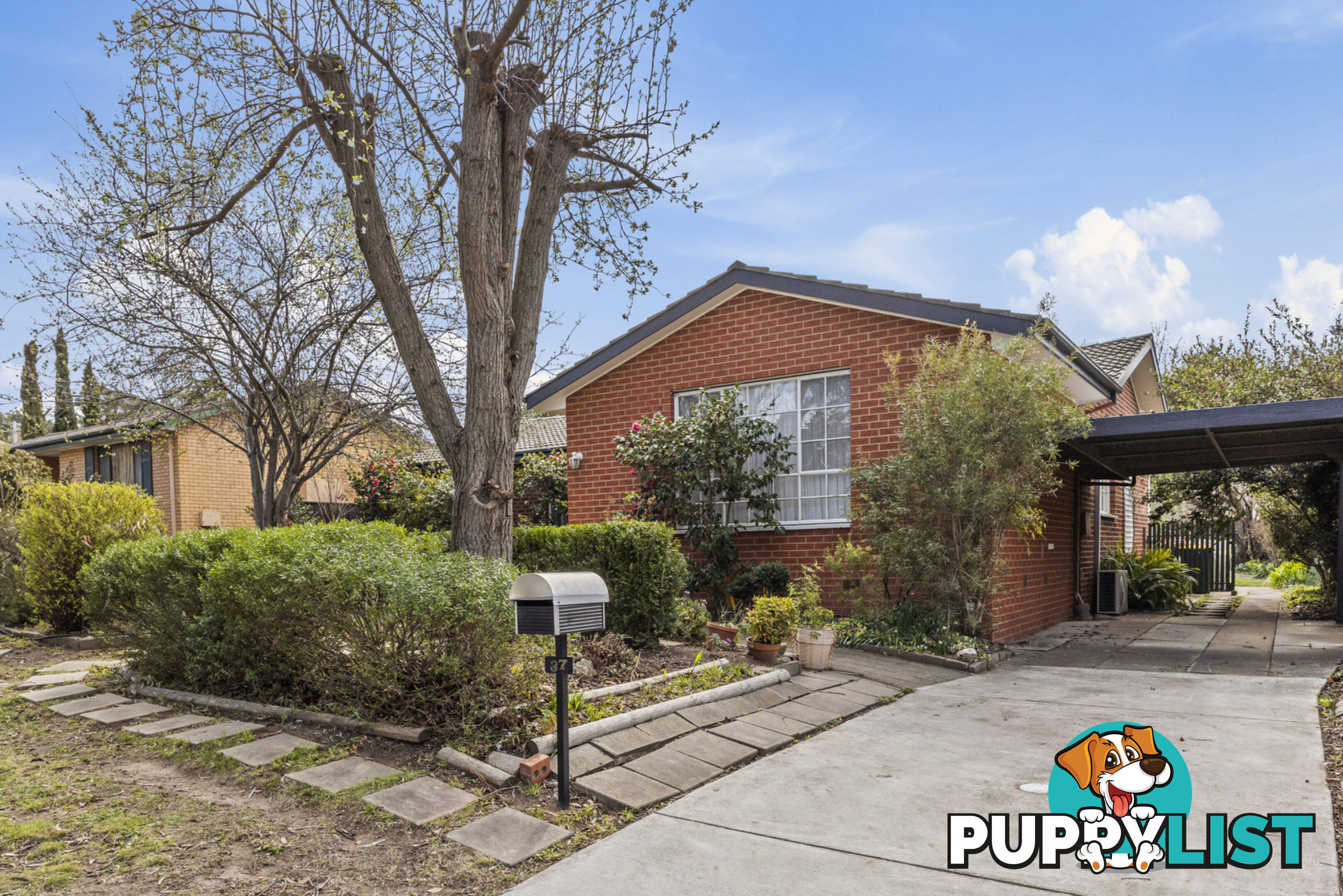 37 Jemalong Street DUFFY ACT 2611