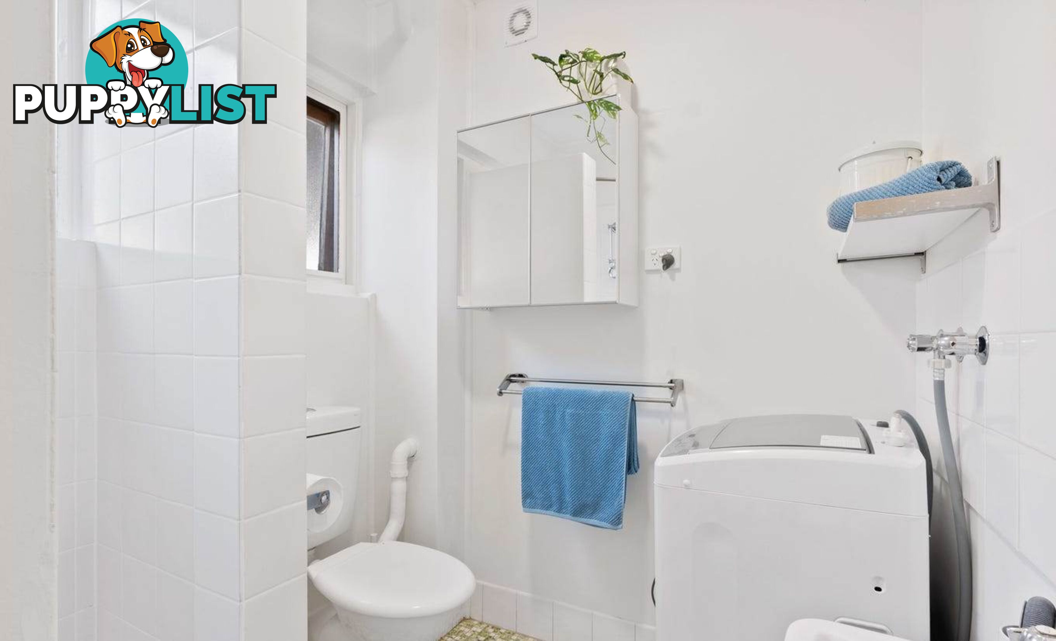 3/17 Devonport Street LYONS ACT 2606