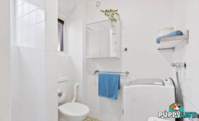 3/17 Devonport Street LYONS ACT 2606
