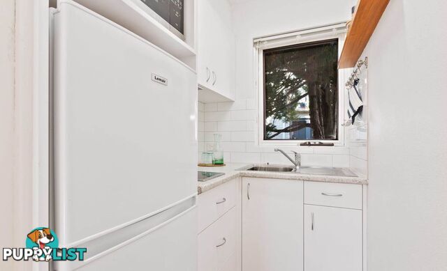 3/17 Devonport Street LYONS ACT 2606