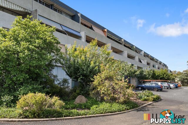 16/4 Wilkins Street MAWSON ACT 2607