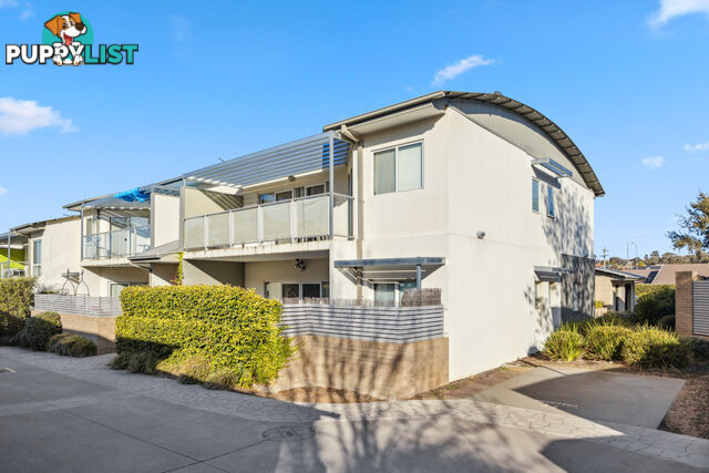 43/161 Uriarra Road CRESTWOOD NSW 2620