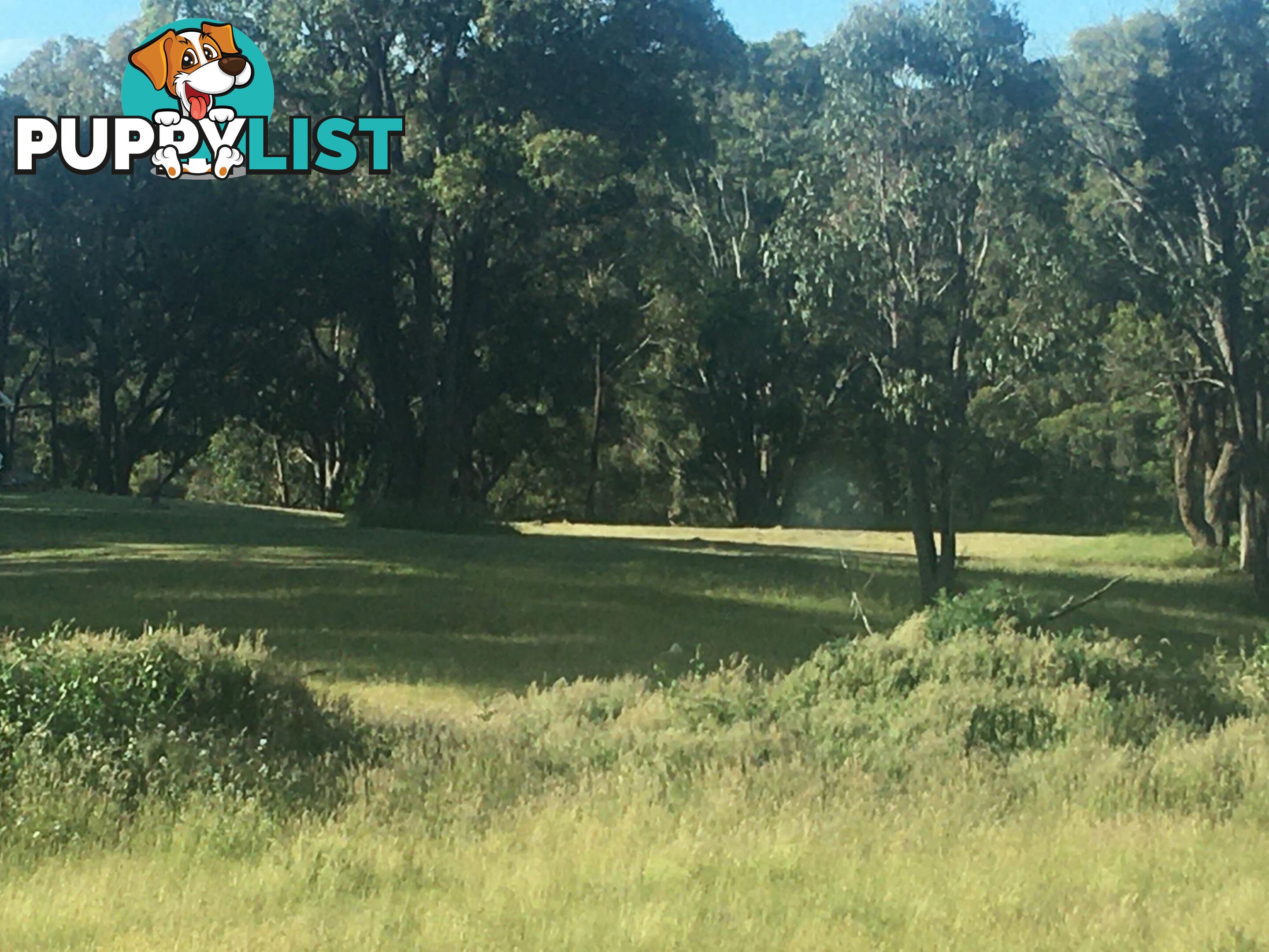 1094 Nottingham Road WEE JASPER NSW 2582