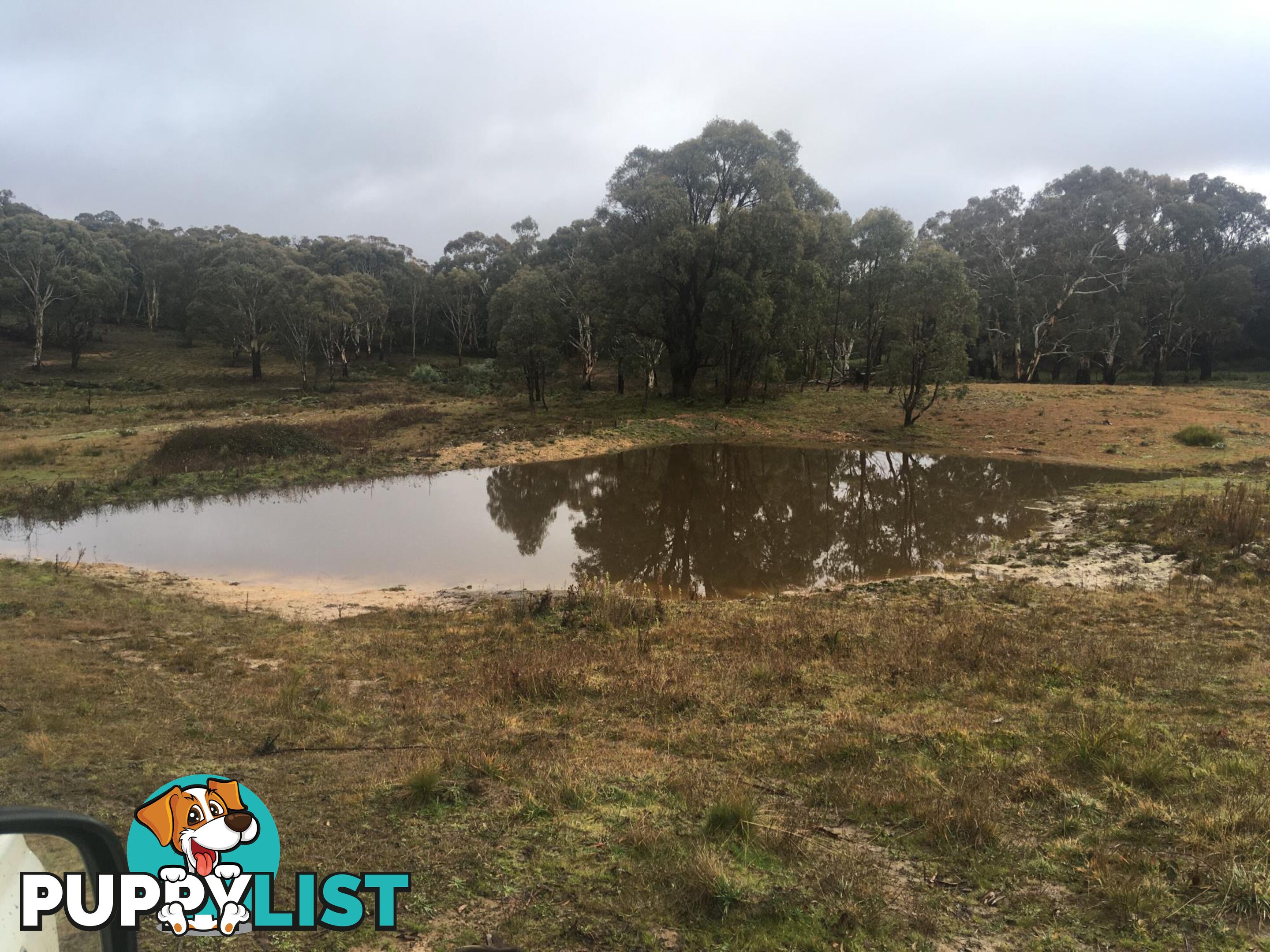 1094 Nottingham Road WEE JASPER NSW 2582