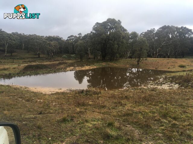 1094 Nottingham Road WEE JASPER NSW 2582