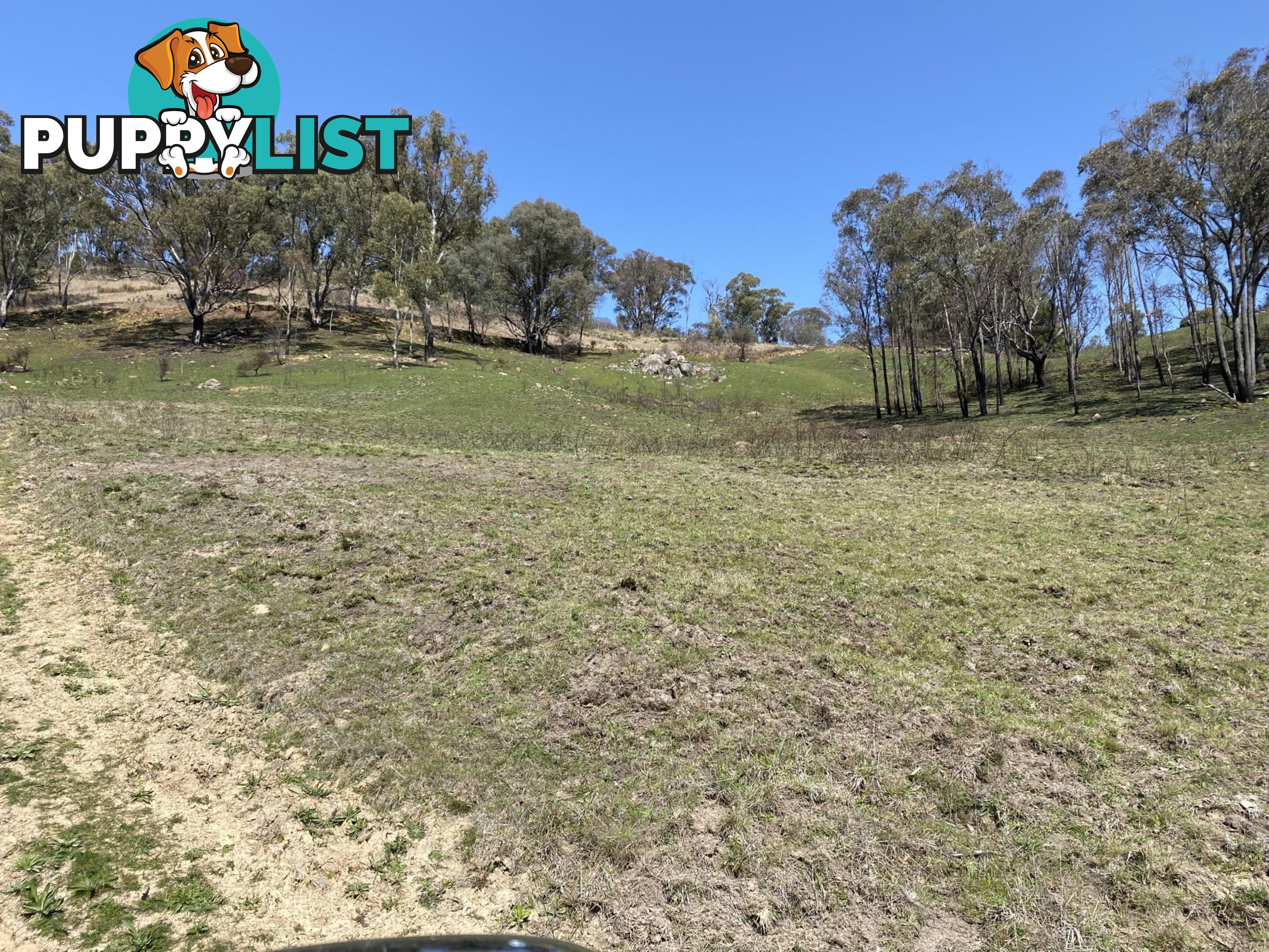 1094 Nottingham Road WEE JASPER NSW 2582