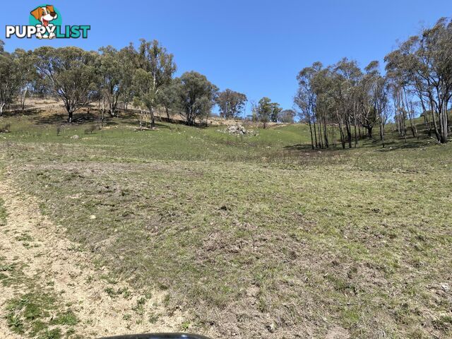 1094 Nottingham Road WEE JASPER NSW 2582