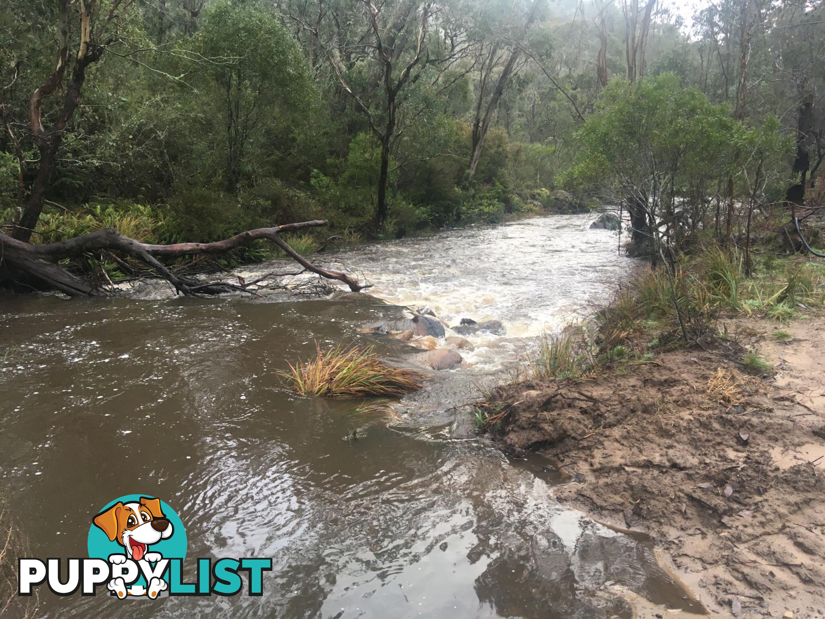 1094 Nottingham Road WEE JASPER NSW 2582