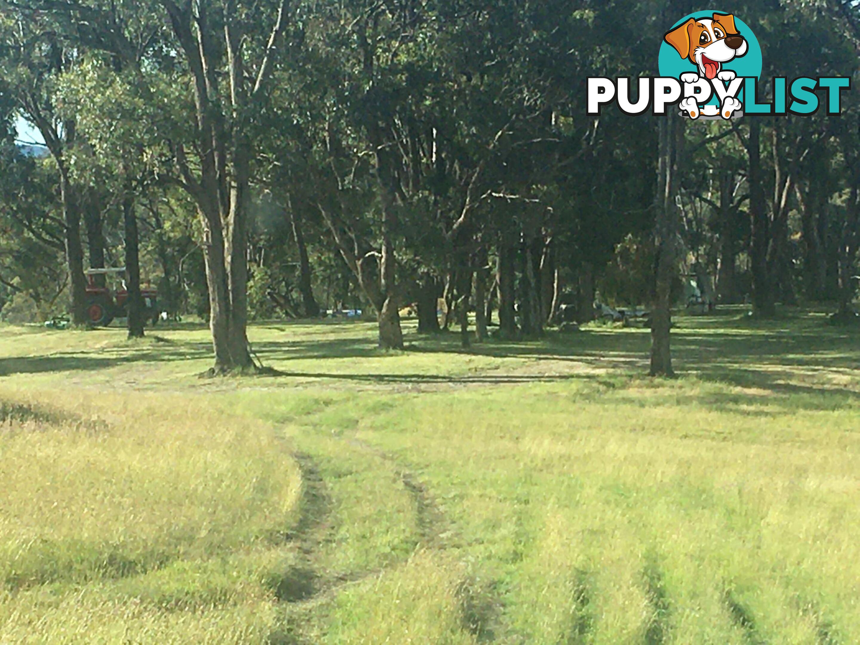 1094 Nottingham Road WEE JASPER NSW 2582