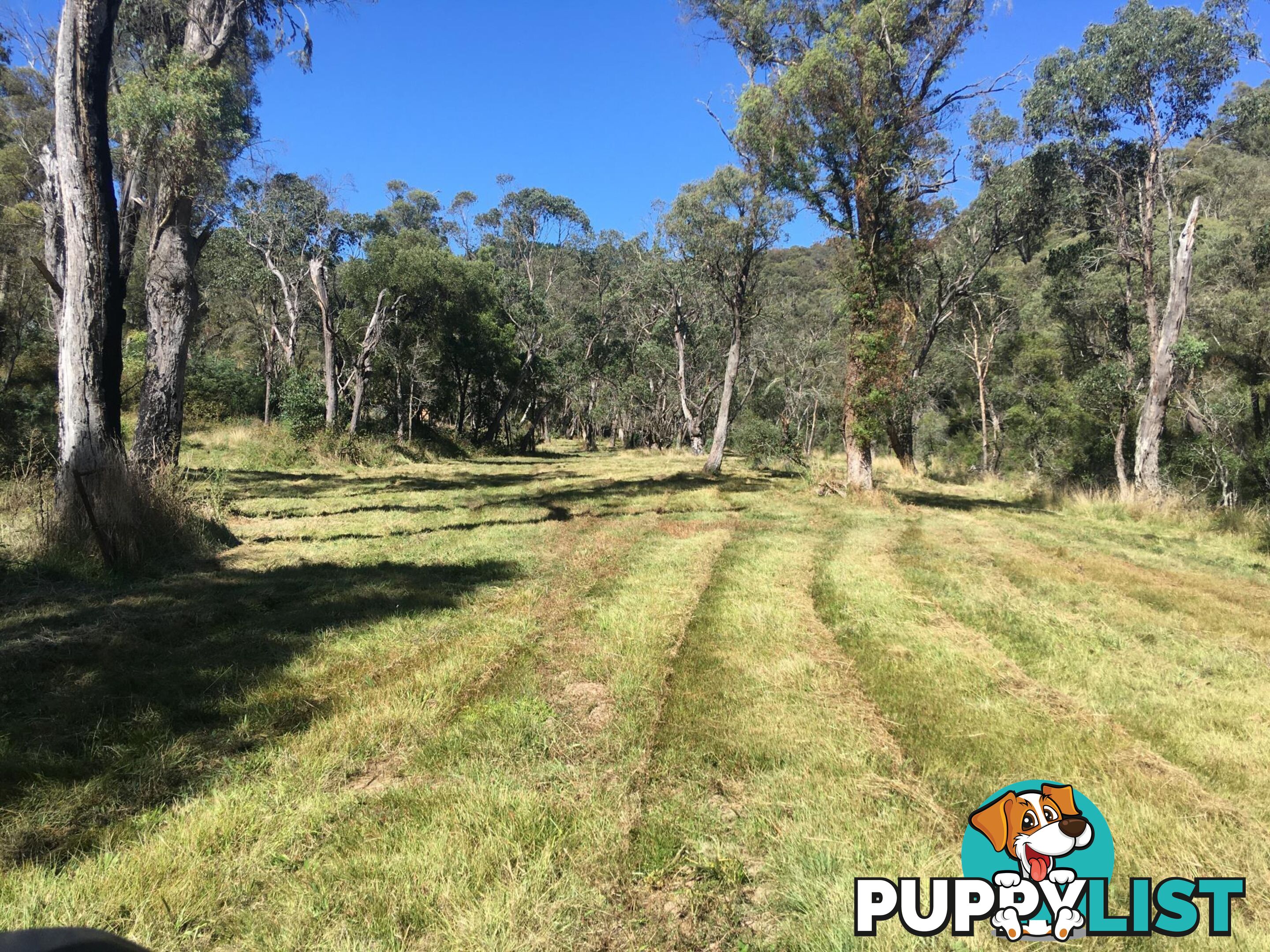 1094 Nottingham Road WEE JASPER NSW 2582