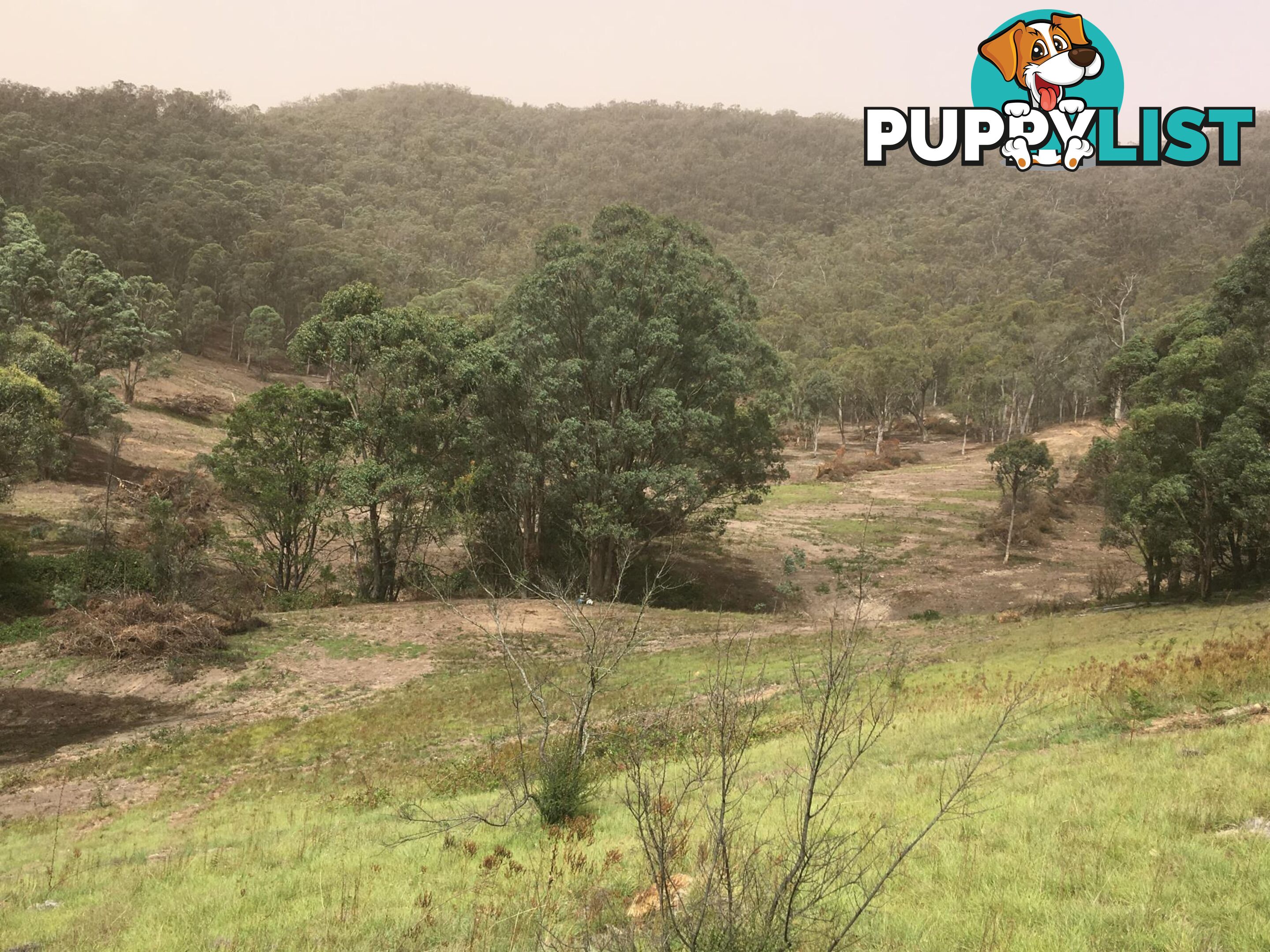 1094 Nottingham Road WEE JASPER NSW 2582