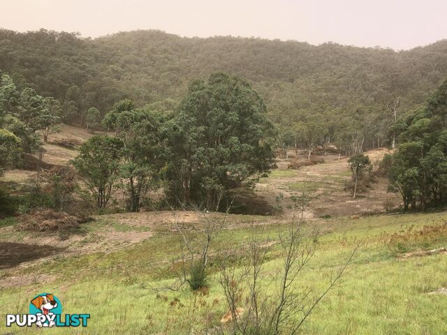 1094 Nottingham Road WEE JASPER NSW 2582