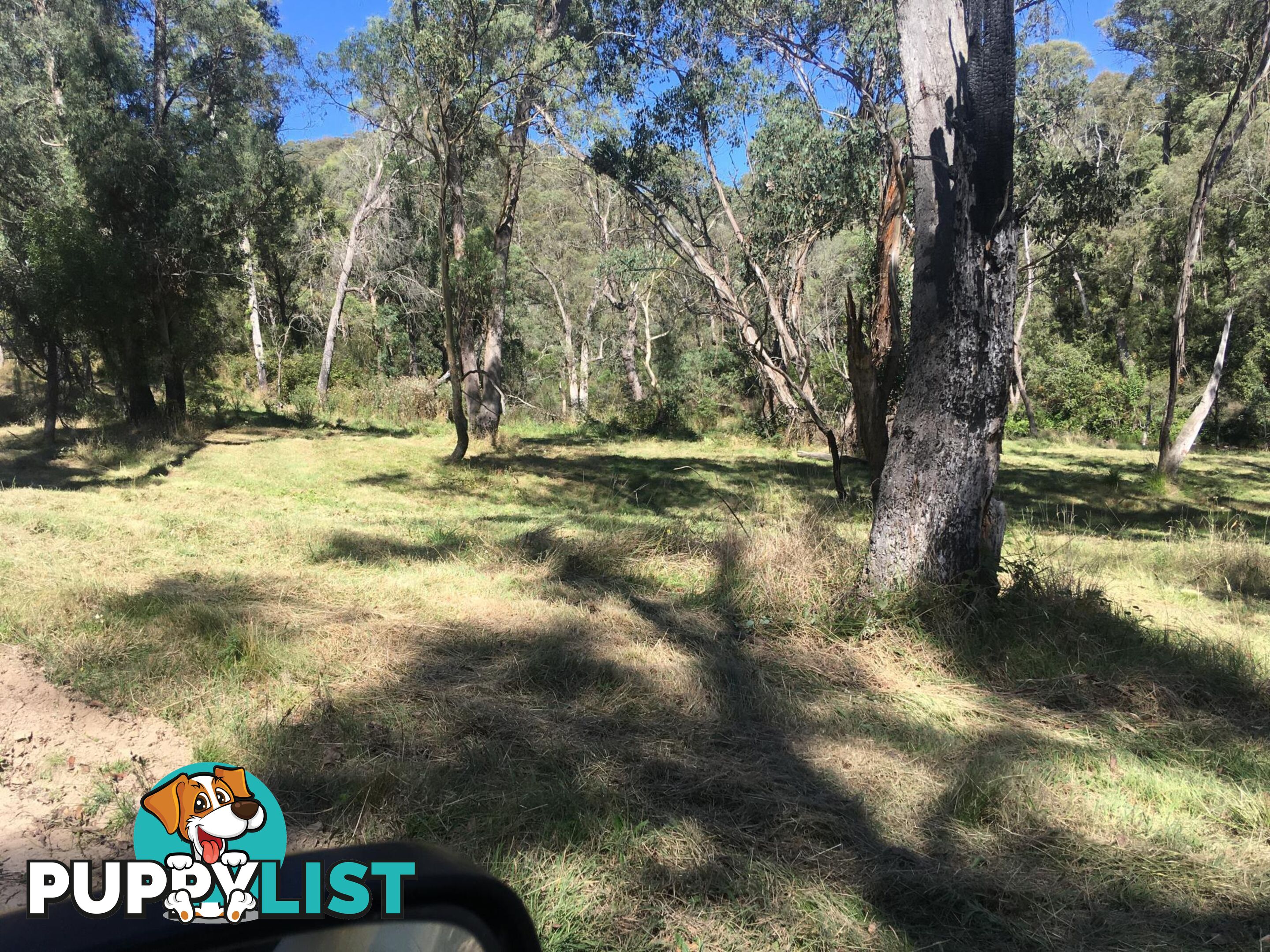 1094 Nottingham Road WEE JASPER NSW 2582