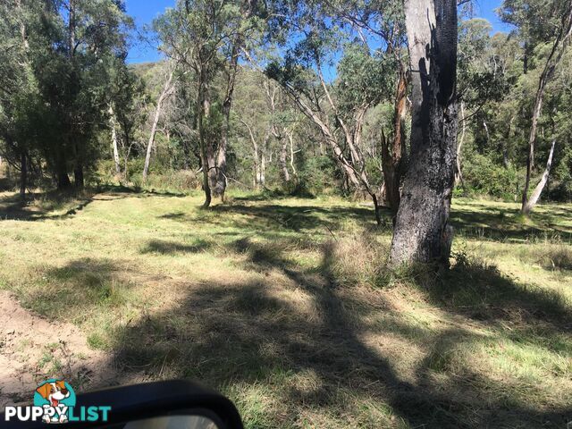 1094 Nottingham Road WEE JASPER NSW 2582