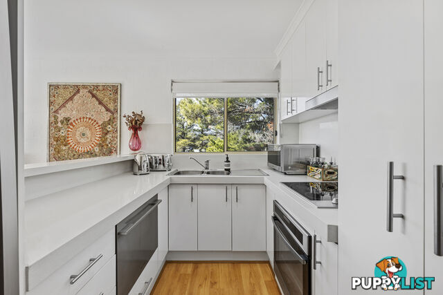 18/4 Antis Street PHILLIP ACT 2606