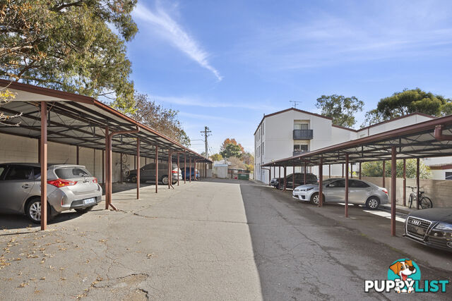 3/78 Hodgson Crescent PEARCE ACT 2607