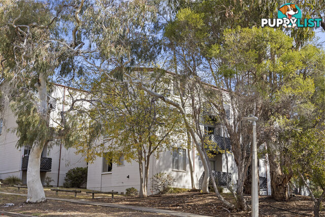 3/78 Hodgson Crescent PEARCE ACT 2607