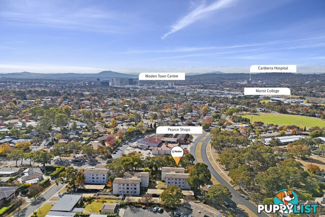 3/78 Hodgson Crescent PEARCE ACT 2607