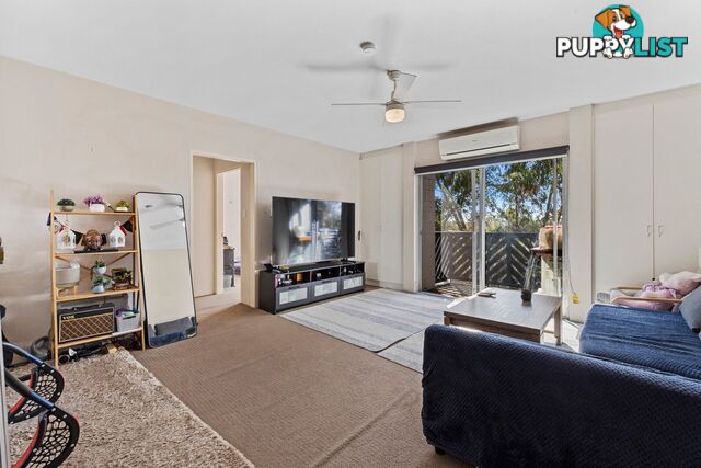 3/78 Hodgson Crescent PEARCE ACT 2607