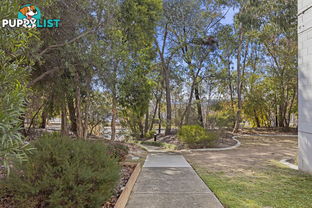 3/78 Hodgson Crescent PEARCE ACT 2607