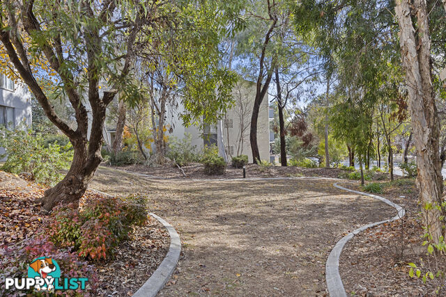 3/78 Hodgson Crescent PEARCE ACT 2607