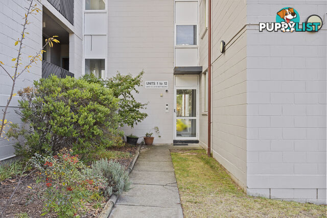 3/78 Hodgson Crescent PEARCE ACT 2607