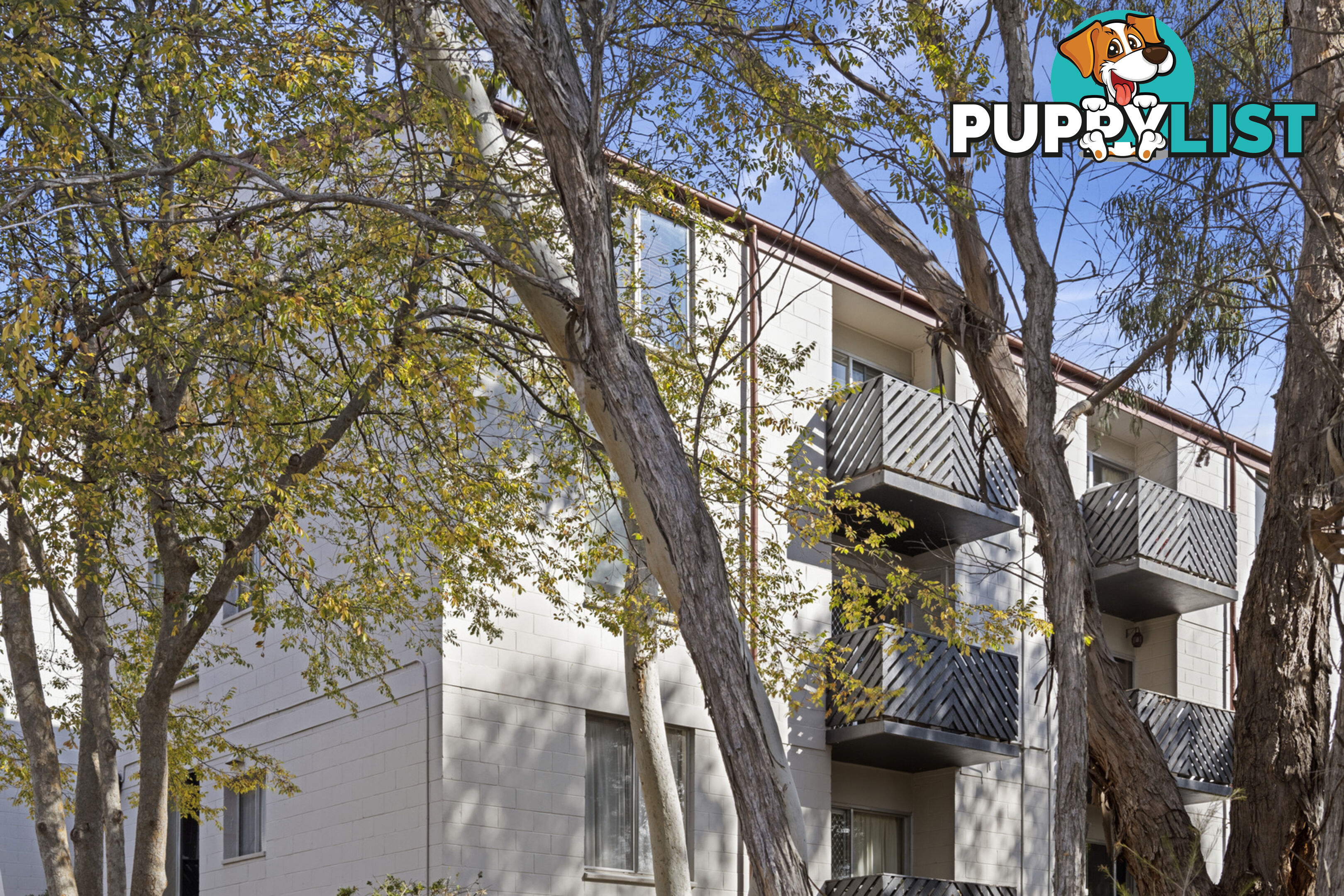 3/78 Hodgson Crescent PEARCE ACT 2607