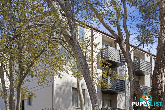 3/78 Hodgson Crescent PEARCE ACT 2607