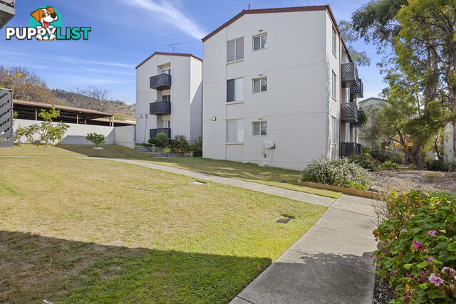 3/78 Hodgson Crescent PEARCE ACT 2607