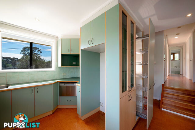 35 Burdekin Street DUFFY ACT 2611