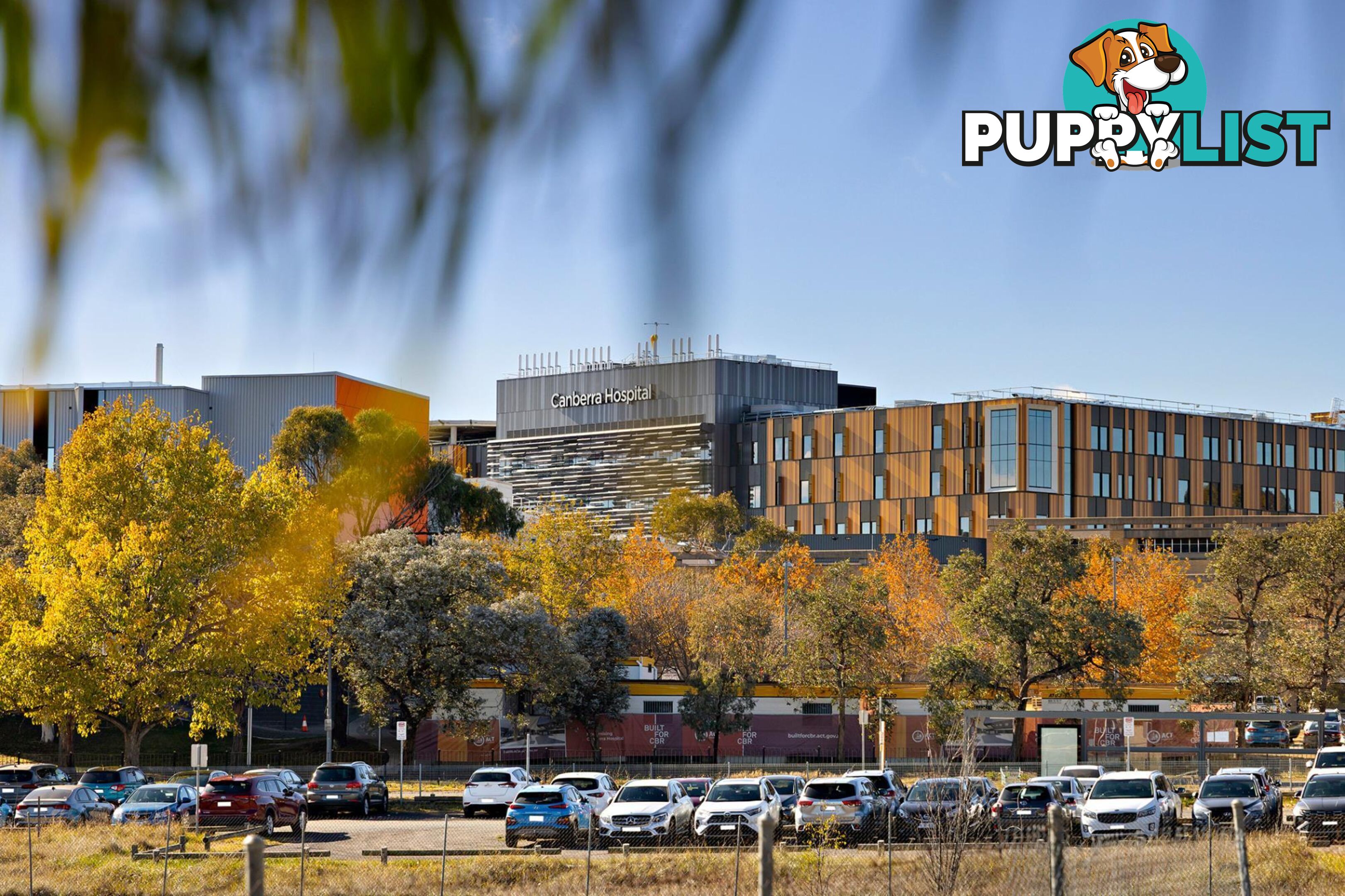 113/66 Byron Court PHILLIP ACT 2606