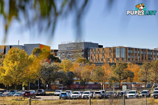 113/66 Byron Court PHILLIP ACT 2606