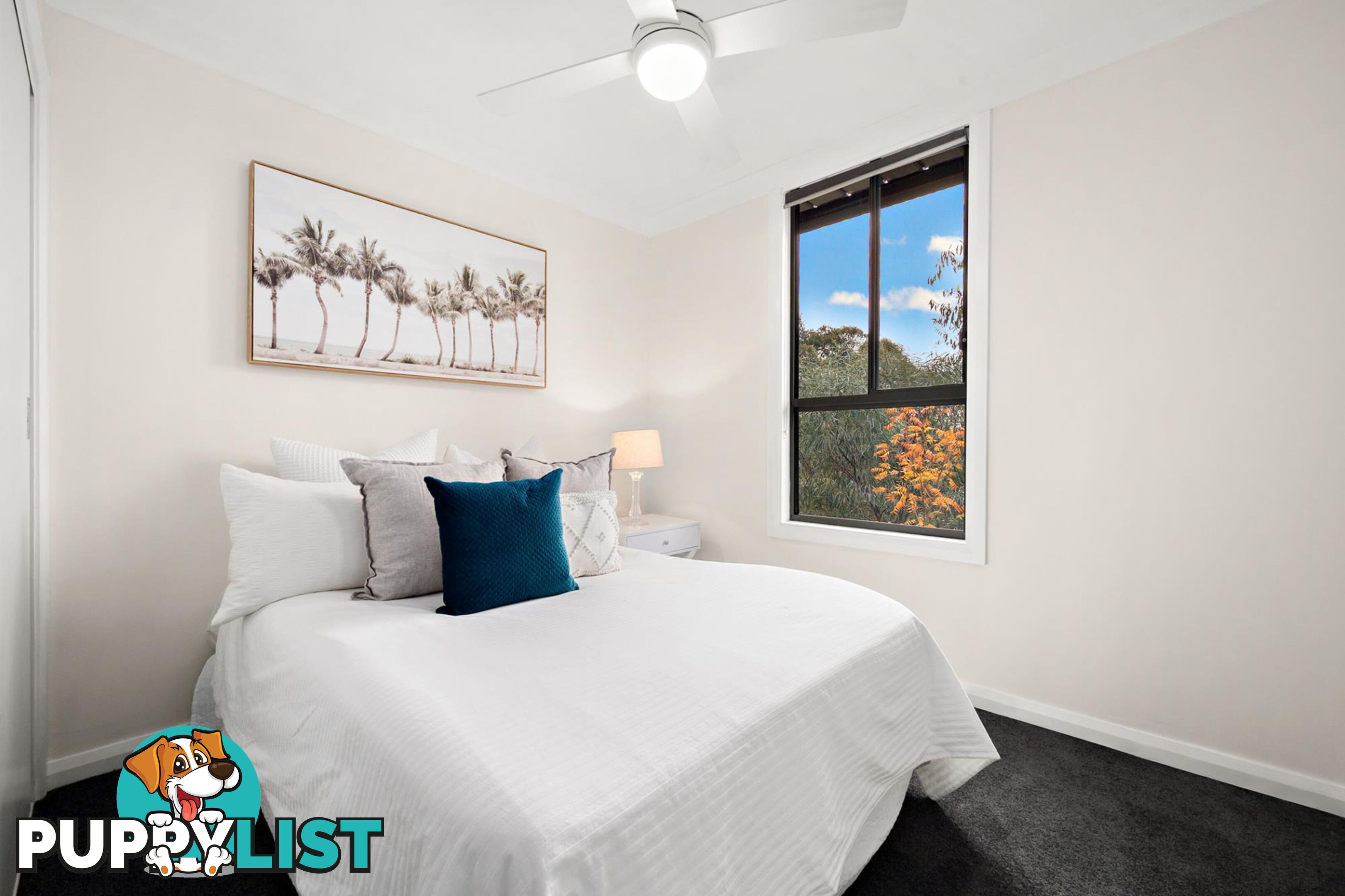 8 Custance Street FARRER ACT 2607