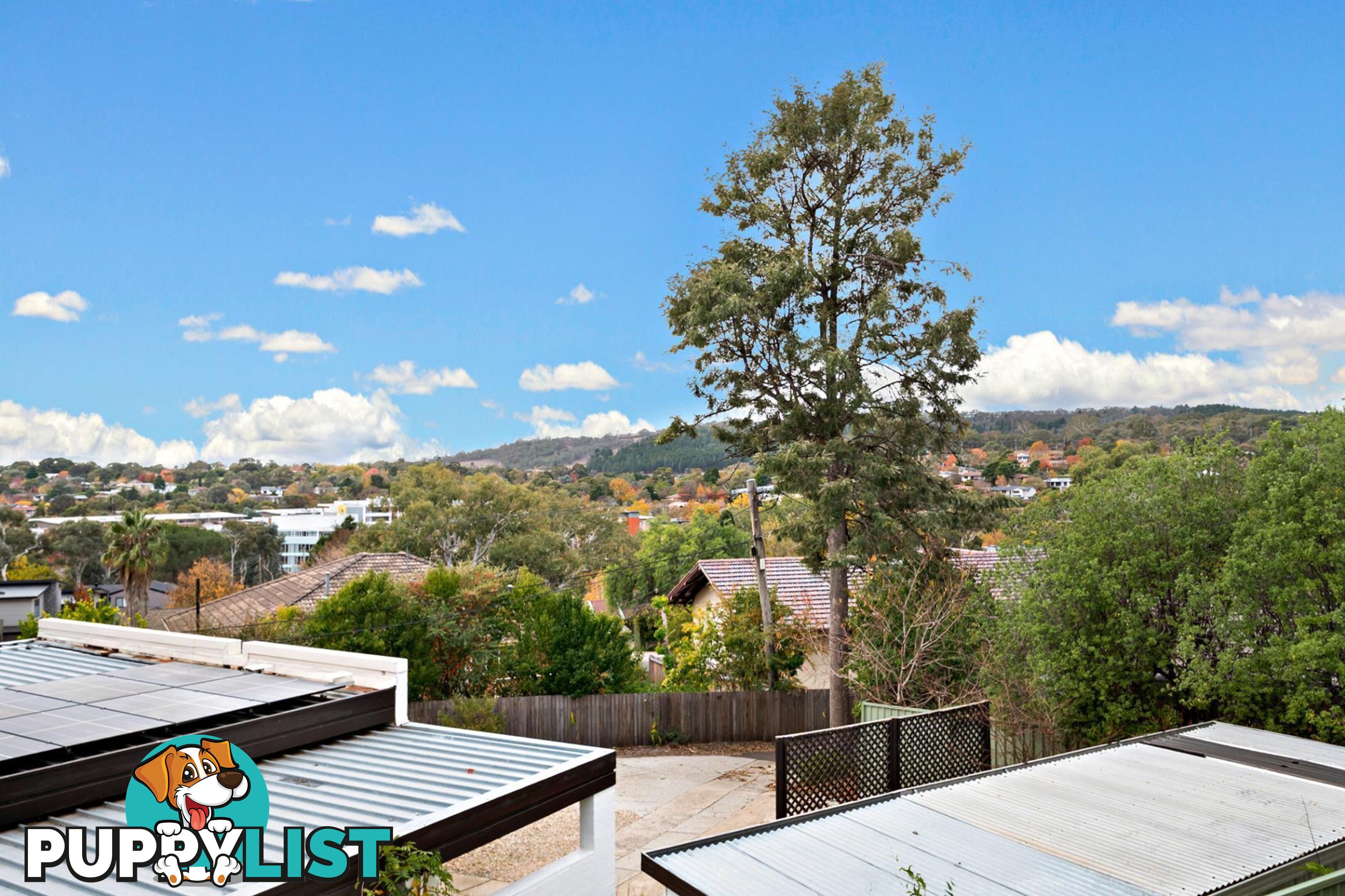 8 Custance Street FARRER ACT 2607